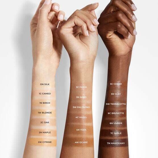 TINTED MOISTURIZER NATURAL DEWY - 3C1